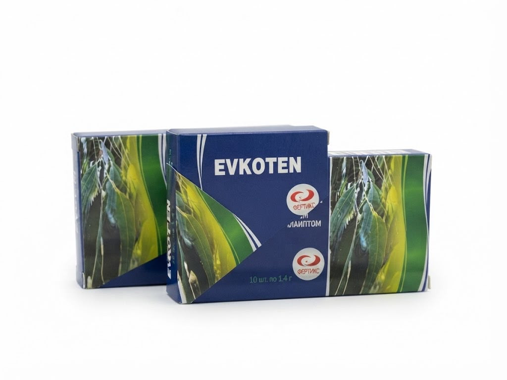 Evkoten